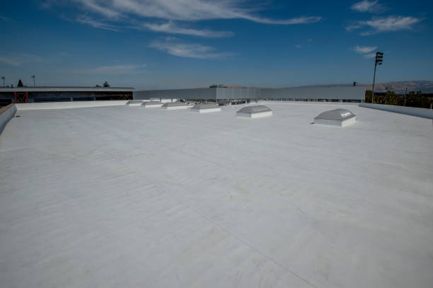 Best Commercial Roofing Services  in Fairview, MT